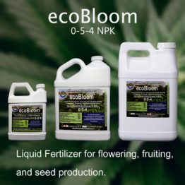 Eco-Bloom-Featured-1