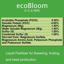 Eco-Bloom-Featured-2
