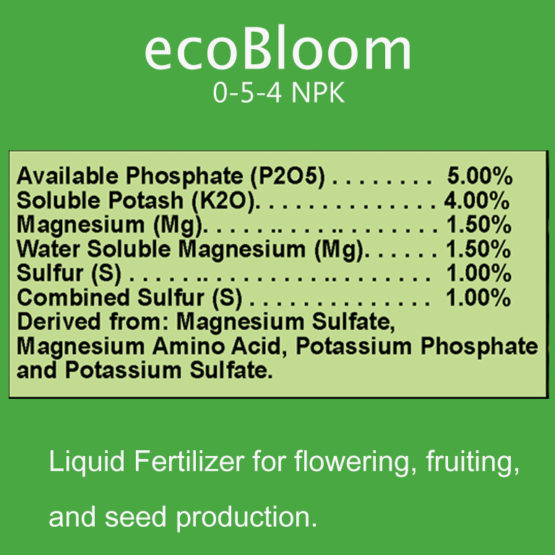 Eco-Bloom-Featured-2