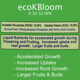 Eco-K-Bloom-Featured-2