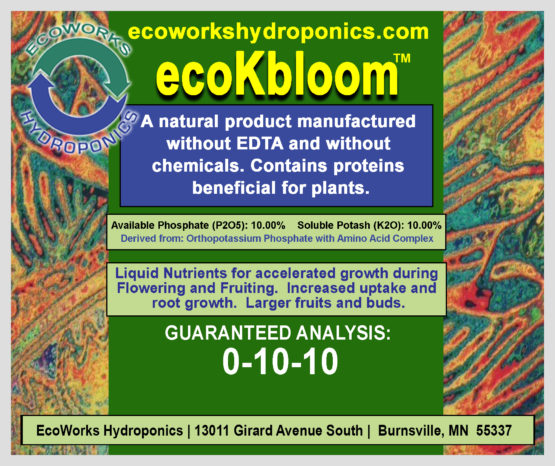 ecoKBloom - Image 3